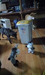 100430_2251~0002.jpg