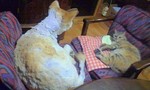 100506_1832~0001.jpg