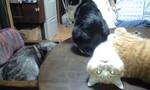 100517_2030~0001.jpg