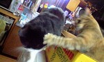 100518_1900~0001.jpg