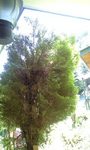 100521_1039~0001.jpg