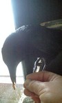 100522_1206~0001.jpg