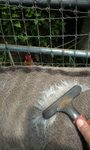 100525_0943~0001.jpg