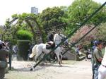 連休1005 031.JPG