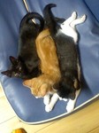 060909_2050~0002.jpg