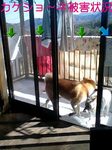 080201_1227~0001-0001.jpg