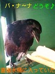 080207_0931~0001-0001.jpg