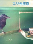 080208_1041~0001-0001.jpg