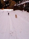 080210_1317~0001.jpg