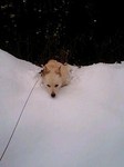 080210_1329~0002.jpg