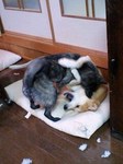 080213_1830~0001.jpg