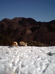 080215_1003~0001.jpg