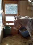 080216_1239~0001.jpg