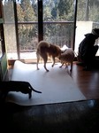 080218_1308~0002.jpg