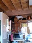 080223_1008~0001.jpg