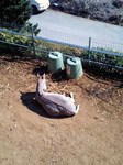 080224_1150~0001.jpg