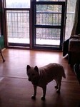 080302_1457~0001.jpg