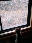 080302_1459~0001.jpg