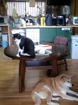 080305_1305~0001.jpg