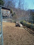 080307_1011~0001.jpg