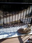 080307_1244~0001.jpg