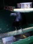 080309_1951~0001.jpg
