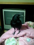 080310_2039~0001.jpg