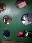 080321_1855~0003.jpg