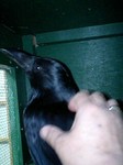 080323_2224~0002.jpg