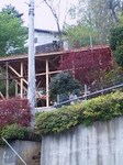 080425_1005~0001.jpg