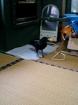 080603_1219~0002.jpg