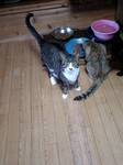 080605_0937~0001.jpg