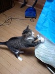 080605_0937~0002.jpg