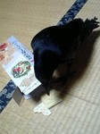 080614_2115~0001.jpg