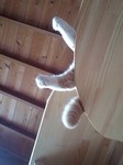 080728_1513~0001.jpg