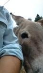 080809_1248~0001.jpg