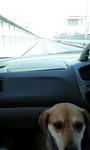 080818_1322~0001.jpg