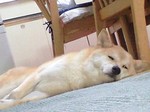 080819_0033~0001.jpg