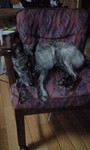 080830_2051~0001.jpg