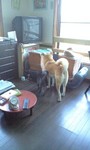 080903_1540~0001.jpg