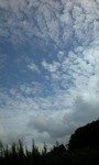 080923_1321~0001.jpg