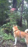 080928_1249~0002.jpg