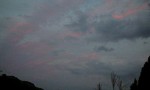 081011_1721~0001.jpg