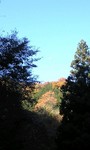081119_0910~0001.jpg