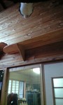 081205 019.JPG