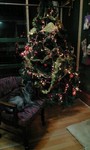 081205 021.JPG