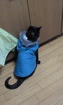 090122 020.JPG