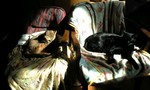090202_1019~0001.jpg