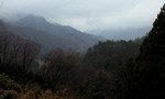 090224_1359~0001.jpg