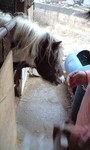 090226_1706~0001.jpg
